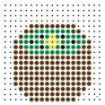 kralenplank kiwi klein