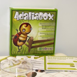 Adaliabox_1